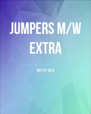 Купить Джемпер муж+жен экстра#15 кг , Лот№2612 оптом в Новосибирске и Новосибирской области