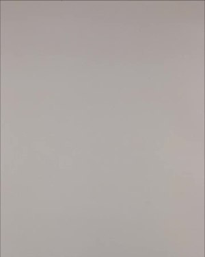 Фотография  503 - Нижнее белье Bon Prix дети#50 шт, ЛОТ №3242 оптом в Новосибирске и Новосибирской области