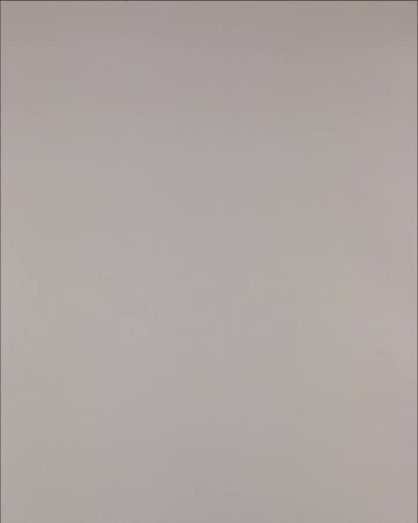 Фотография  233 - Нижнее белье Bon Prix дети#50 шт, ЛОТ №3242 оптом в Новосибирске и Новосибирской области