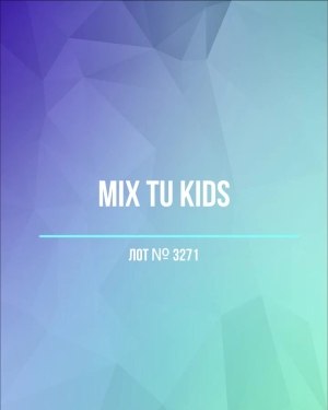 Купить TU Kids#8 кг, ЛОТ №3271 оптом в Новосибирске и Новосибирской области