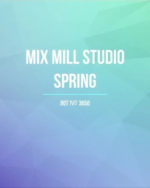 Купить MILL STUDIO Spring mix#15 кг, ЛОТ №3650 оптом в Новосибирске и Новосибирской области