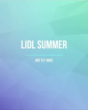 Купить LIDL Summer#20 кг, ЛОТ №4003 оптом в Новосибирске и Новосибирской области