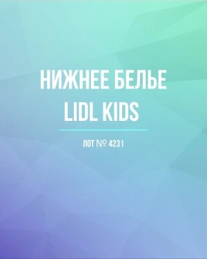 Купить Нижнее белье LIDL Kids#5 кг, ЛОТ №4231 оптом в Новосибирске и Новосибирской области