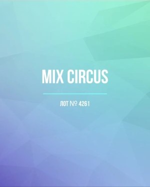 Купить CIRCUS mix #13 кг, ЛОТ №4261 оптом в Новосибирске и Новосибирской области