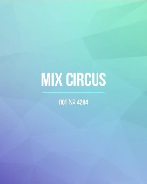 Купить CIRCUS mix #11,8 кг, ЛОТ №4284 оптом в Новосибирске и Новосибирской области