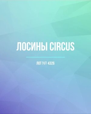 Купить Лосины CIRCUS #6,2 кг, ЛОТ №4326 оптом в Новосибирске и Новосибирской области