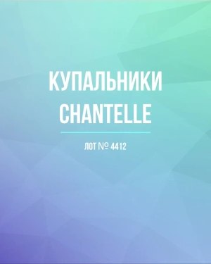 Купить Купальники Chantelle#23 шт, ЛОТ №4412 оптом в Новосибирске и Новосибирской области