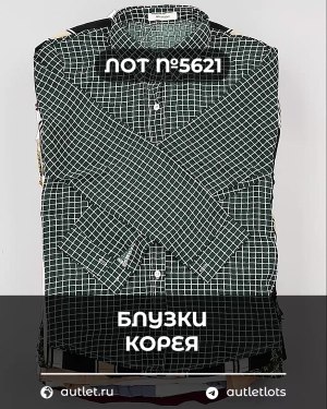 Купить Блузки Корея#20 шт, ЛОТ №5621 оптом в Новосибирске и Новосибирской области
