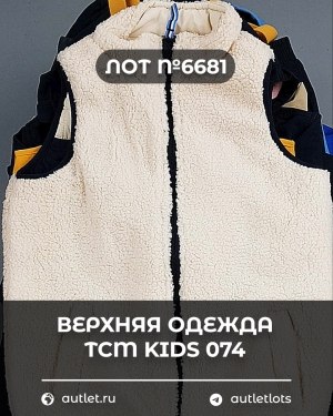 Купить Верхняя одежда TCM kids 074#7 кг, ЛОТ №6681 оптом в Новосибирске и Новосибирской области