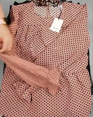 Фотография  730 - ДАНИЯ Winter mix 24#15 кг, ЛОТ №6710 оптом в Новосибирске и Новосибирской области