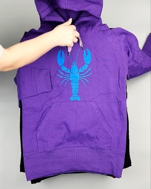 Фотография  986 - Толстовки м/ж (Sweat Tops)#20 кг, ЛОТ №7431 оптом в Новосибирске и Новосибирской области