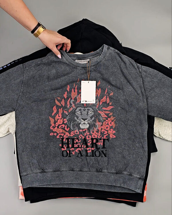 Фотография  940 - Толстовки Bestseller+DK 035#7 кг, ЛОТ СТ-9839 оптом в Новосибирске и Новосибирской области